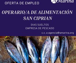 Academia A Mariña imagen 3