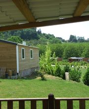 La noix de Pécany image 6