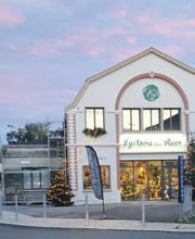 Lys'toire d'une fleur image 8