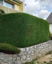 Felix Schön Garten- und Landschaftspflege