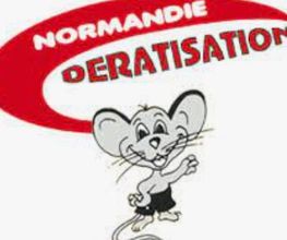 Normandie Dératisation image 2