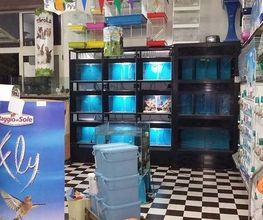 Gallery Cliente