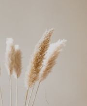 Bisou Cosmetics Bild 1