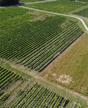 Citeau Christophe image 5