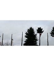 Blitzschutz & Höhenservice Engler GmbH Bild 2