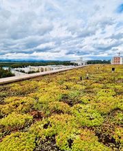 Allegraplus AG Bild 1