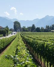 Città di Bellinzona Bild 11