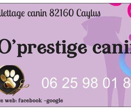 O'Prestige Canin image 1