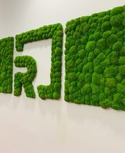 Baum & Raum Daniela Hinkelmann Bild 2