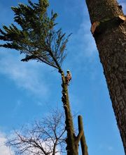 Douaire David image 6