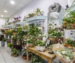 Fleur D' O image 14