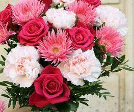Monceau Fleurs Rocade image 12