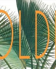 Plus de Sport image 2