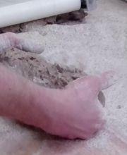 Mühlenbäckerei Andreas Scherbarth e.K. Bild 2