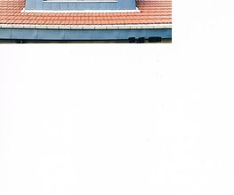 Riedo image 1