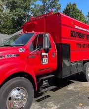 Southeast Tree image 9