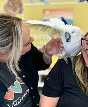 Walnut Creek Veterinary Clinic image 7