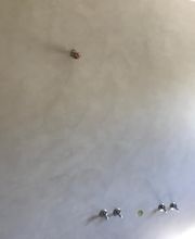 Malergeschäft Harry Di Rito Bild 2