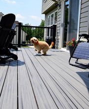 Garloff, Carpentry, LLC. image 15