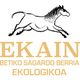 LOGO-EKAIN.png