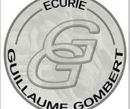 Ecuries Gombert Guillaume image 12