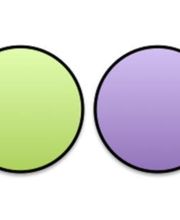 Odomotiq image 14
