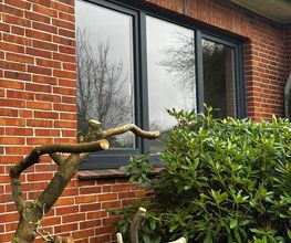 Peter Wyhnanek Dienstleistungen Bild 3