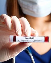 Gallery Professionale