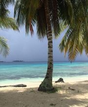 Panama Tours and Scuba SA Bild 13
