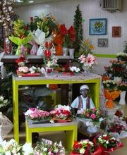 Central fleurs image 15