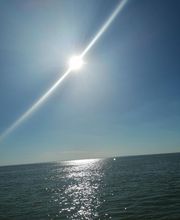 LE PETIT RADIEUX image 7