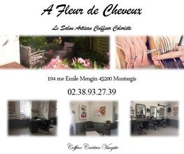 A FLEUR DE CHEVEUX image 1