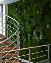 DECO-VEGETALE image 3
