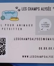 Les Champs Alysée image 3