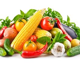Dreyer AG - Früchte, Gemüse, Tiefkühlprodukte Bild 1