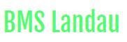 BMS Landau