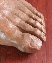 Carlos Lorenzo Hidalgo imagen 16