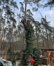 WhatsApp Bild 2025-03-31 um 09.39.35_91eead08.jpg