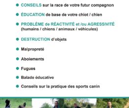 Flair et Moi image 13