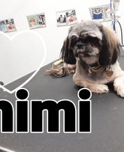 Au Toilettage de Saint Satur image 16