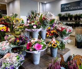 Blumen-Vier Jahreszeiten