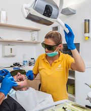 Michael Bauer MSc. & Kollegen