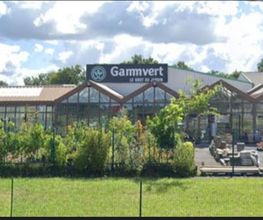 GAMM VERT image 3