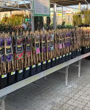 HORNBACH Bamberg Bild 5