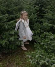 Christbaumhof Peter Bild 2