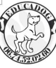 Educa'Dog image 14