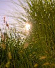 Franz Manser AG Bild 12