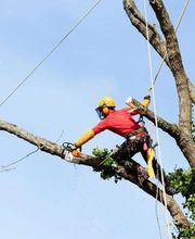 Paquet-jupinet Thierry image 1