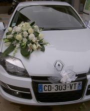 Acqua Flora image 12