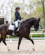 Escuela de Doma Clásica EV imagen 2